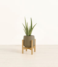 Load image into Gallery viewer, Olive stand:bamboo