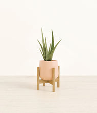 Load image into Gallery viewer, Gentle Pink stand:bamboo