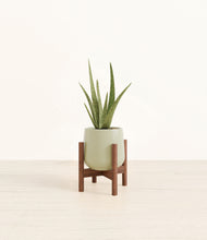 Load image into Gallery viewer, Turquoise stand:walnut