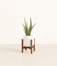 Load image into Gallery viewer, White stand:walnut