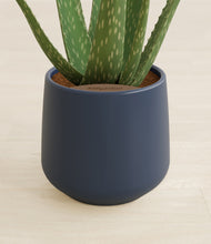 Load image into Gallery viewer, Deep Navy stand:all