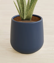 Load image into Gallery viewer, Deep Navy stand:all