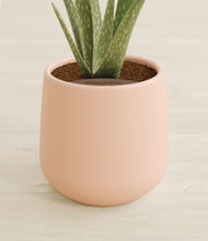 Load image into Gallery viewer, Gentle Pink stand:all