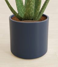 Load image into Gallery viewer, Deep Navy stand:all