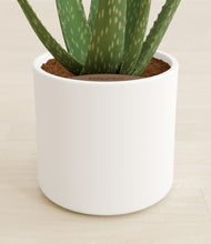 Load image into Gallery viewer, White stand:all