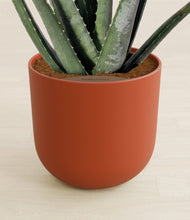 Load image into Gallery viewer, Earth Red stand:all