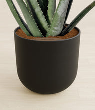 Load image into Gallery viewer, Stone Black stand:all