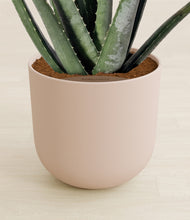 Load image into Gallery viewer, Sandy Pink stand:all