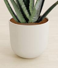 Load image into Gallery viewer, Natural Bamboo stand:all