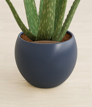 Load image into Gallery viewer, Deep Navy stand:all