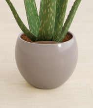 Load image into Gallery viewer, Winter Clouds stand:all