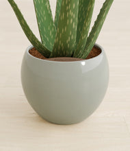 Load image into Gallery viewer, Deep Ocean stand:all