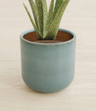 Load image into Gallery viewer, Reactive Aqua stand:all