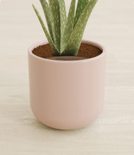 Load image into Gallery viewer, Sandy Pink stand:all