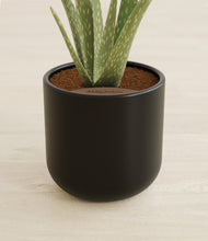 Load image into Gallery viewer, Stone Black stand:all