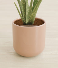 Load image into Gallery viewer, Glossy Pink stand:all