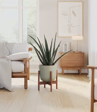 Load image into Gallery viewer, Sage Green stand:walnut