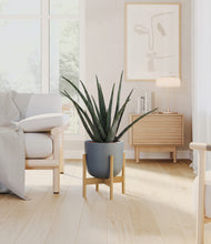 Load image into Gallery viewer, Iron Gray stand:bamboo