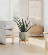Load image into Gallery viewer, Sage Green stand:bamboo