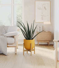 Load image into Gallery viewer, Sunset Orange stand:bamboo