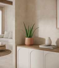 Load image into Gallery viewer, Calm Rose