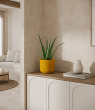 Load image into Gallery viewer, Sunset Orange