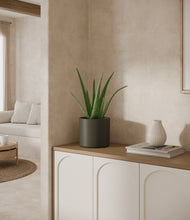 Load image into Gallery viewer, Dark Olive