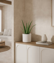 Load image into Gallery viewer, White