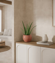 Load image into Gallery viewer, Calm Rose