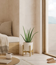 Load image into Gallery viewer, Natural Bamboo stand:bamboo