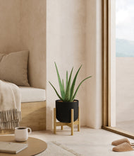 Load image into Gallery viewer, Stone Black stand:bamboo