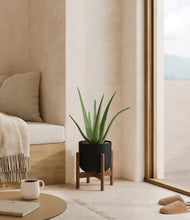 Load image into Gallery viewer, Stone Black stand:walnut