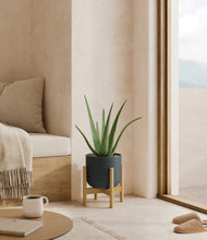 Load image into Gallery viewer, Iron Gray stand:bamboo