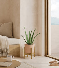 Load image into Gallery viewer, Sandy Pink stand:bamboo