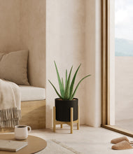 Load image into Gallery viewer, Black stand:bamboo