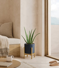 Load image into Gallery viewer, Deep Navy stand:bamboo