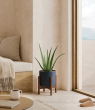 Load image into Gallery viewer, Deep Navy stand:walnut