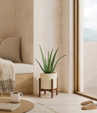 Load image into Gallery viewer, Cream stand:walnut