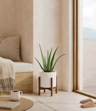 Load image into Gallery viewer, White stand:walnut