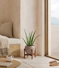 Load image into Gallery viewer, Winter Clouds stand:walnut