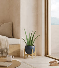 Load image into Gallery viewer, Deep Navy stand:bamboo