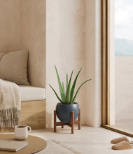 Load image into Gallery viewer, Deep Navy stand:walnut