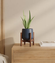 Load image into Gallery viewer, Deep Navy stand:walnut