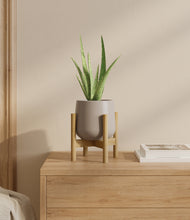 Load image into Gallery viewer, Eternal Gray stand:bamboo