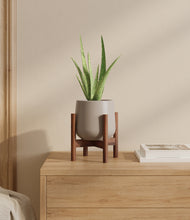 Load image into Gallery viewer, Eternal Gray stand:walnut