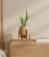 Load image into Gallery viewer, Gentle Pink stand:bamboo