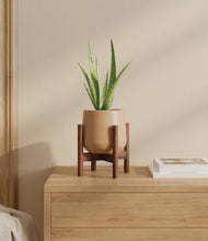 Load image into Gallery viewer, Gentle Pink stand:walnut