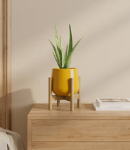 Load image into Gallery viewer, Mustard stand:bamboo