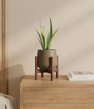 Load image into Gallery viewer, Olive stand:walnut