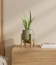 Load image into Gallery viewer, Turquoise stand:bamboo